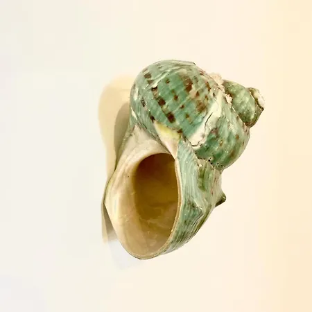 Casa Chicchella- Authentic Experience Vieste