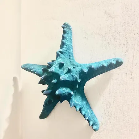 Casa Chicchella- Authentic Experience Maison d'hôtes 4*